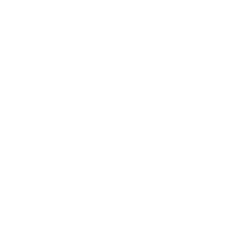 EPM Interconnected Octagon Logo  (1)